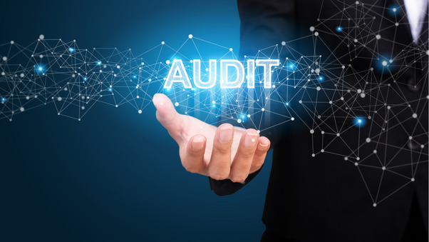 What is Auditing in Cyber Security