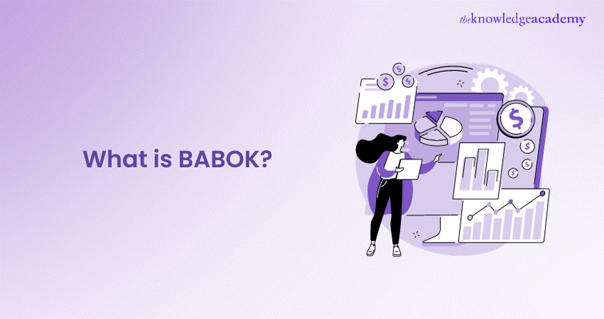 What is BABOK 