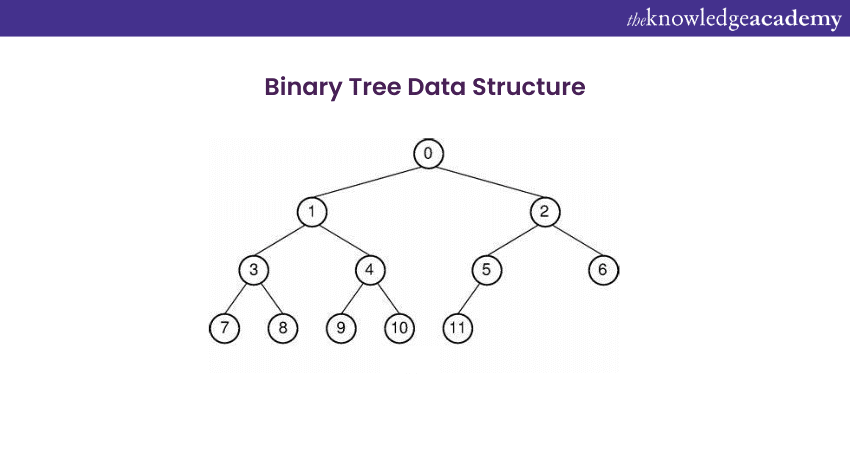 What is Binary Tree Data Structure