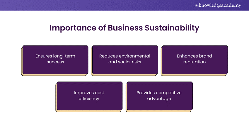 What is Business Sustainability