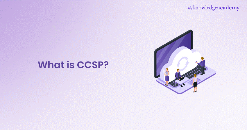 What is CCSP