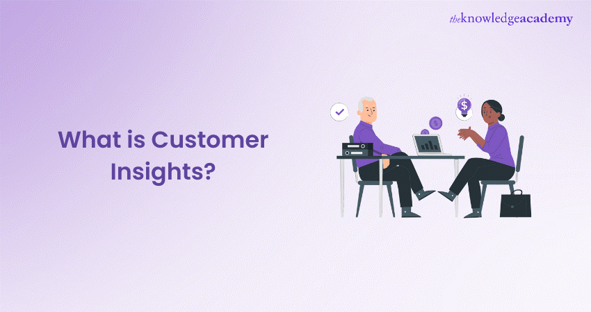 What is Customer Insights