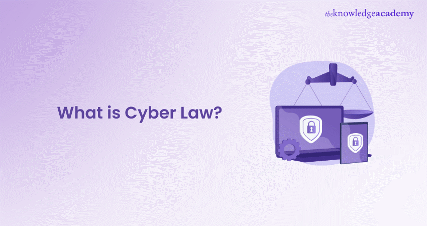 What is Cyber Law