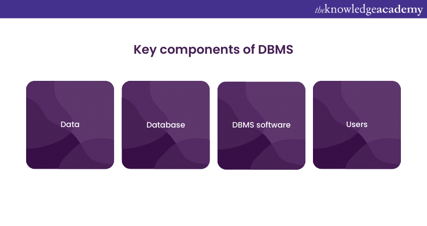 What is DBMS and its key components