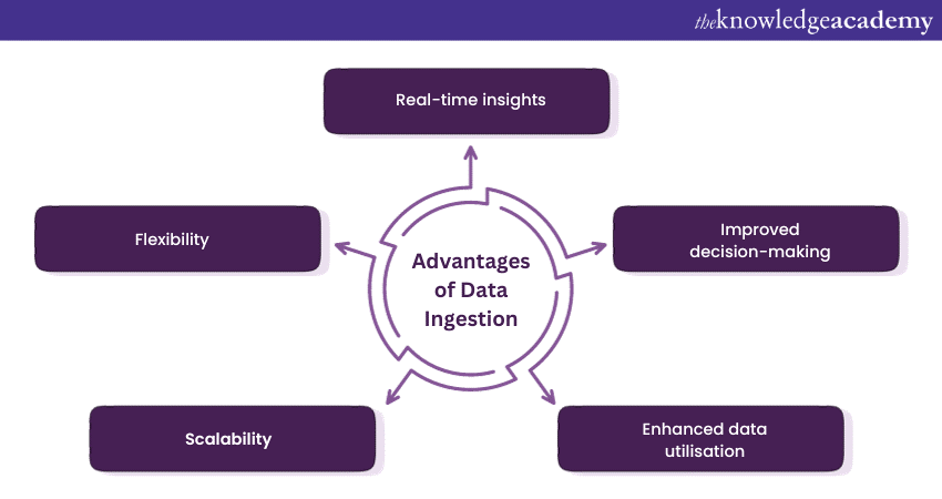 What is Data Ingestion’s advantages