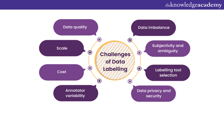 What is Data Labelling’s challenges