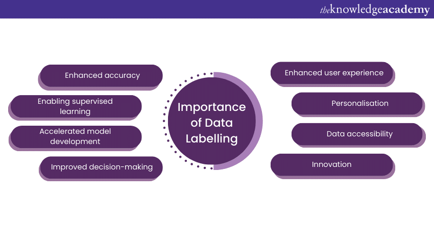 What is Data Labelling’s importance