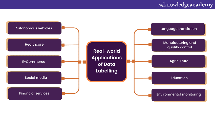 What is Data Labelling’s real-world Applications