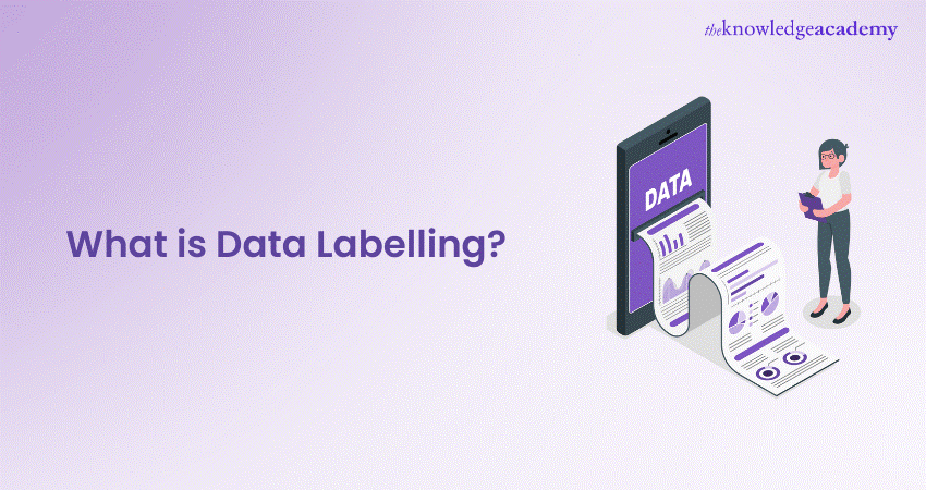 What is Data Labelling