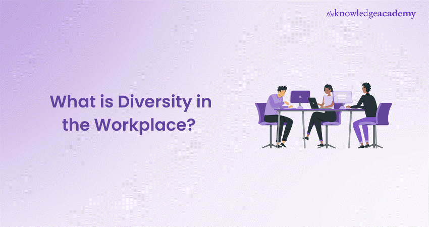 What is Diversity in the Workplace