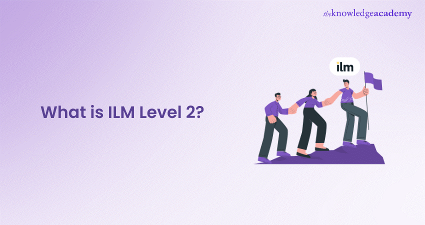 What is ILM Level 2