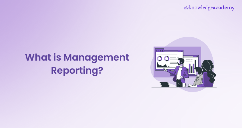 What is Management Reporting