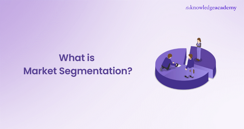 What is Market Segmentation