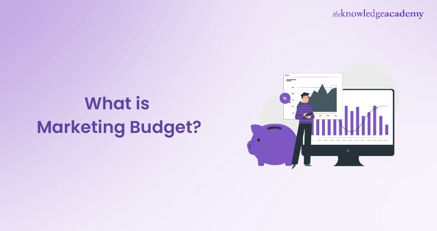 What is a Marketing Budget