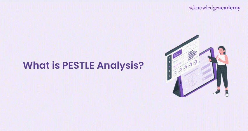 What is PESTLE Analysis