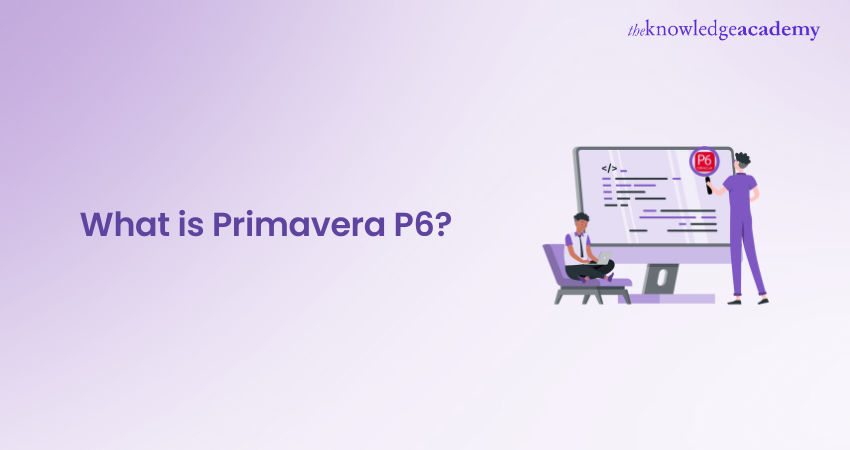What is Primavera P6