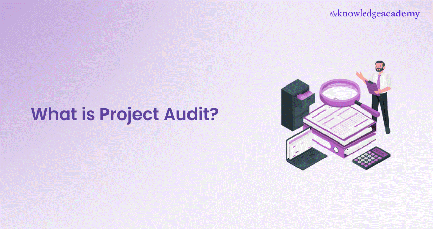 What is Project Audit