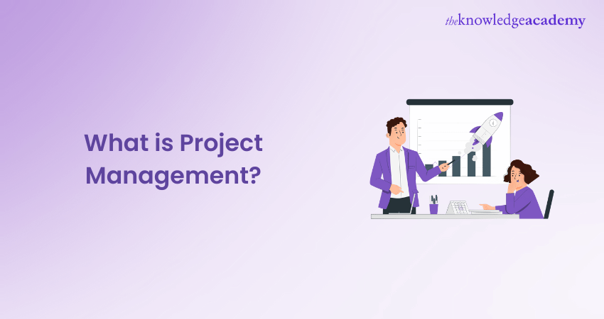 What is Project Management