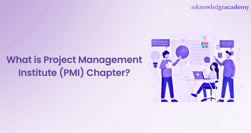 What is Project Management Institute (PMI) Chapter