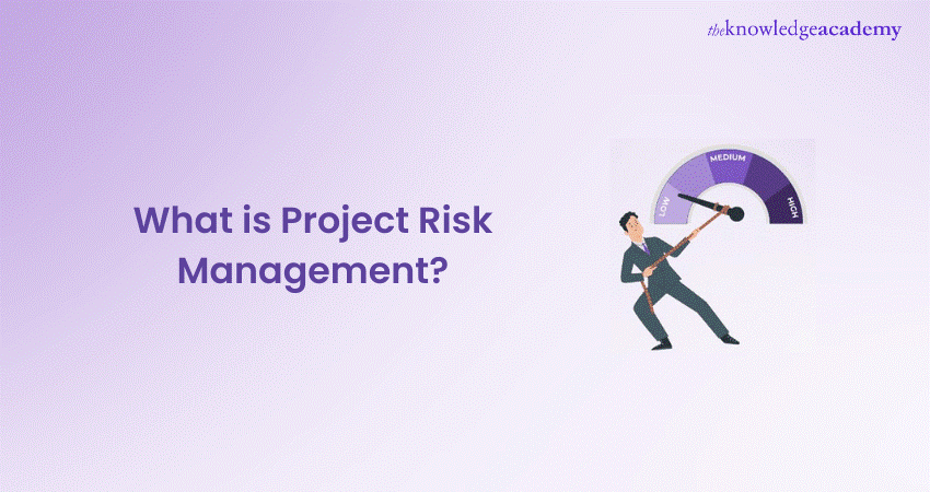 What is Project Risk Management