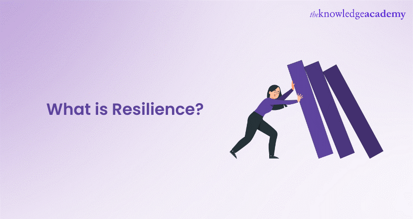 What is Resilience