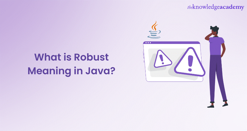 What is Robust Meaning in Java - Explained in Detail 