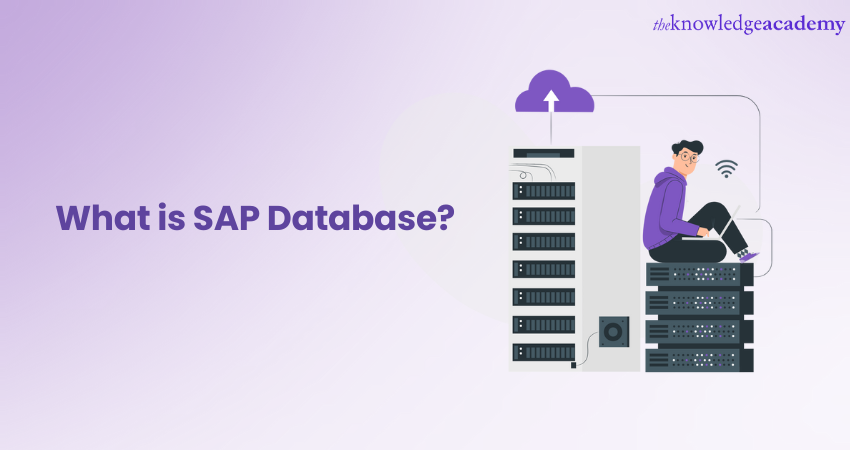 What is SAP Database?