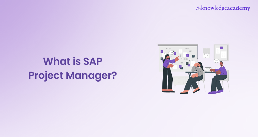 What is SAP Project Manager