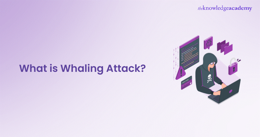 What is Whaling Attack