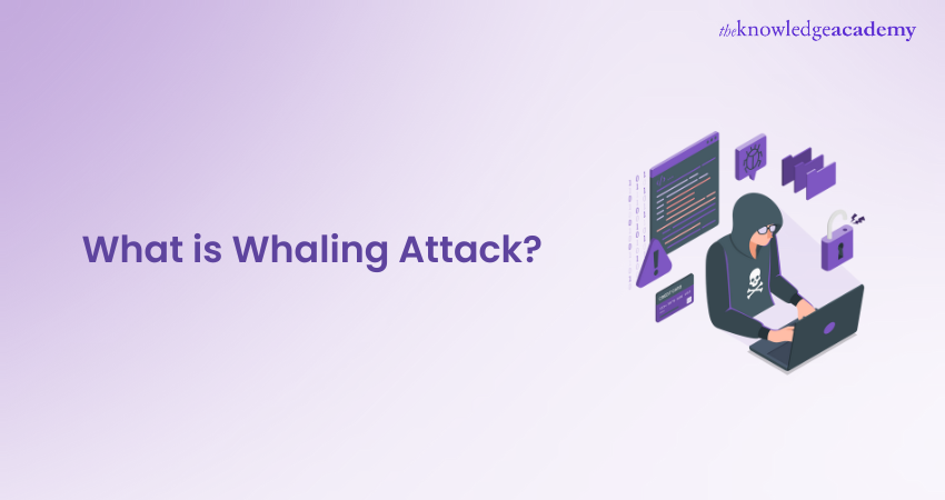 What is Whaling Attack? A Complete Guide