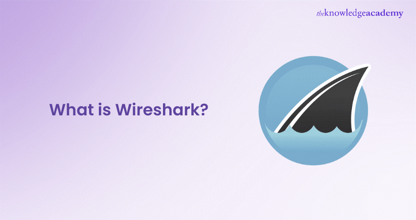 What is Wireshark