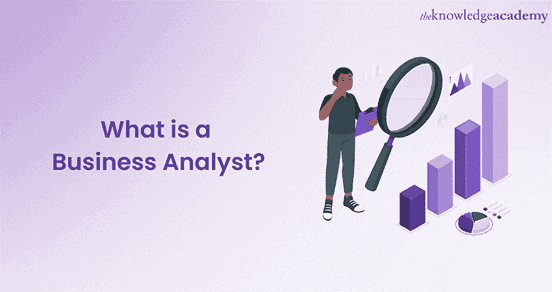 What is a Business Analyst