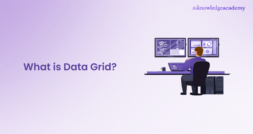 What is a Data Grid