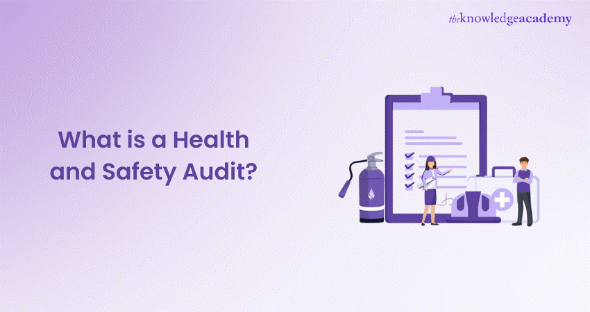 What is a Health and Safety Audit