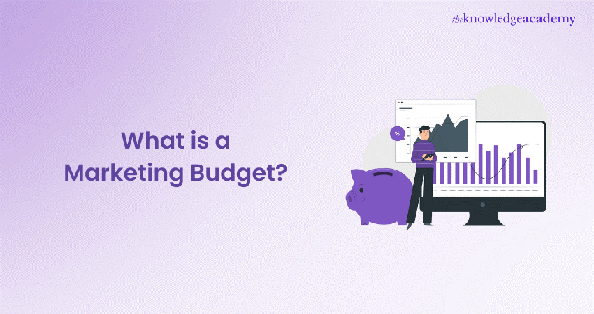 What is a Marketing Budget