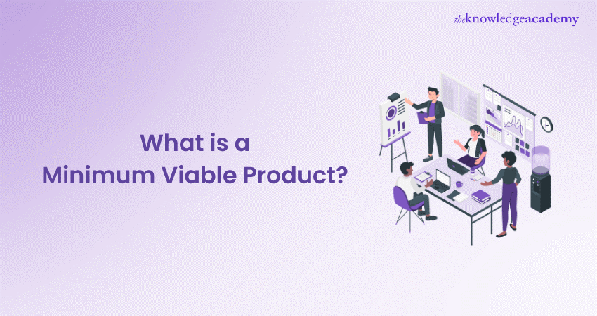 What is a Minimum Viable Product