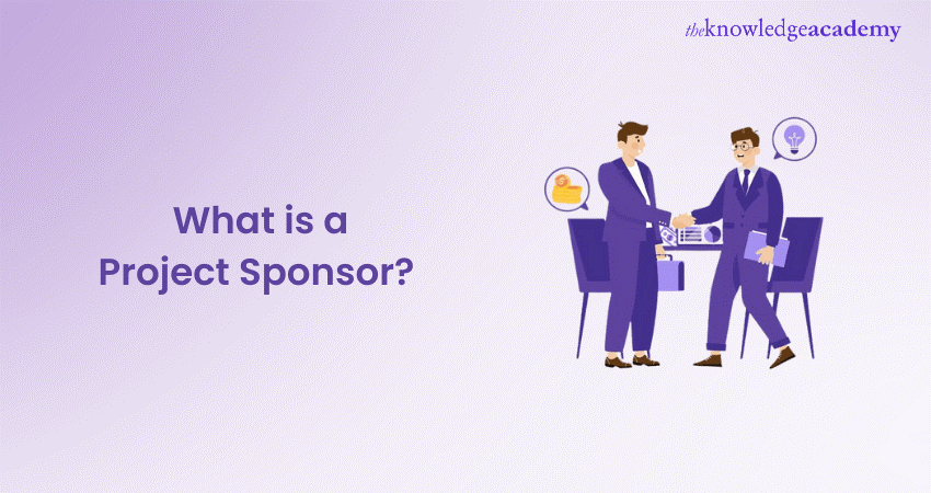 What is a Project Sponsor?