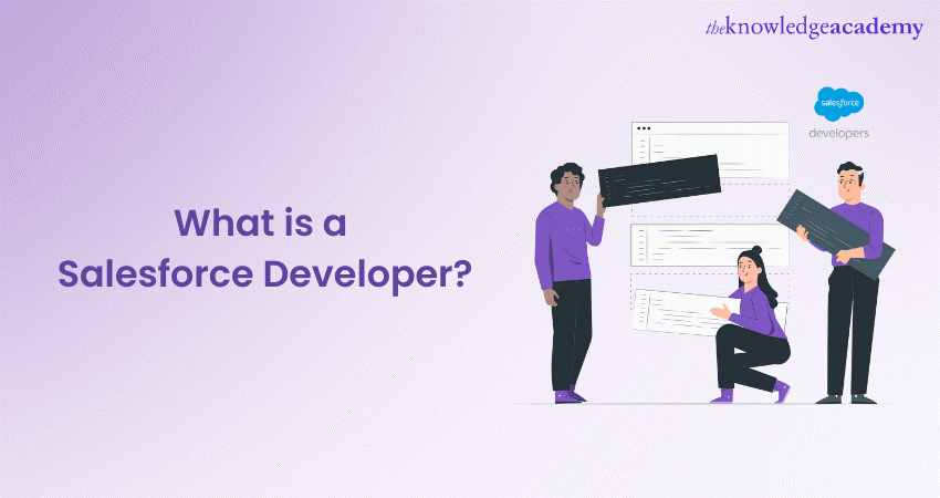 What is a Salesforce Developer