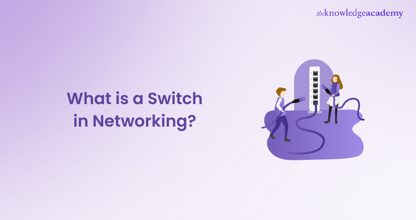 What is a Switch in Networking