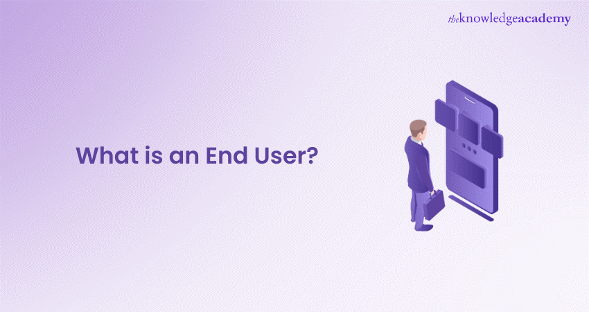 What is an End User