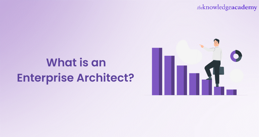 What is an Enterprise Architect