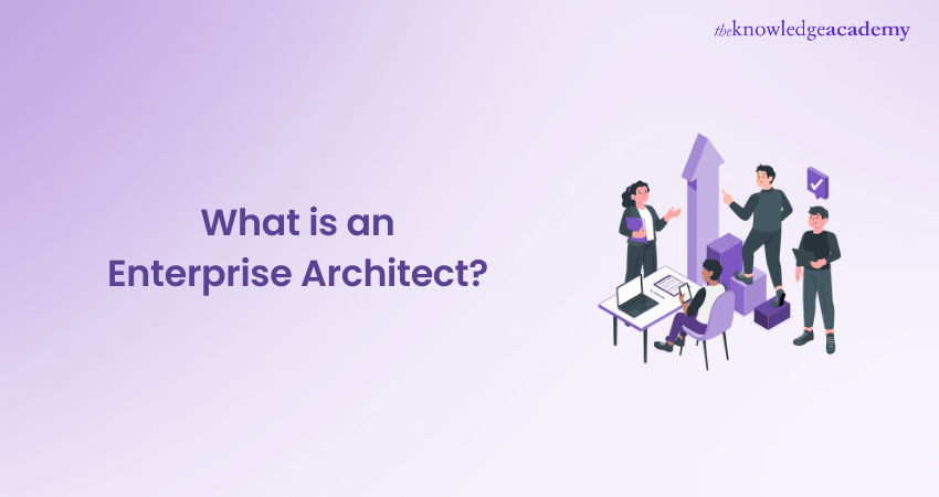 What is an Enterprise Architect