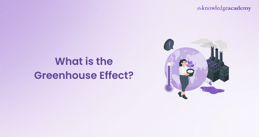 What is the Greenhouse Effect