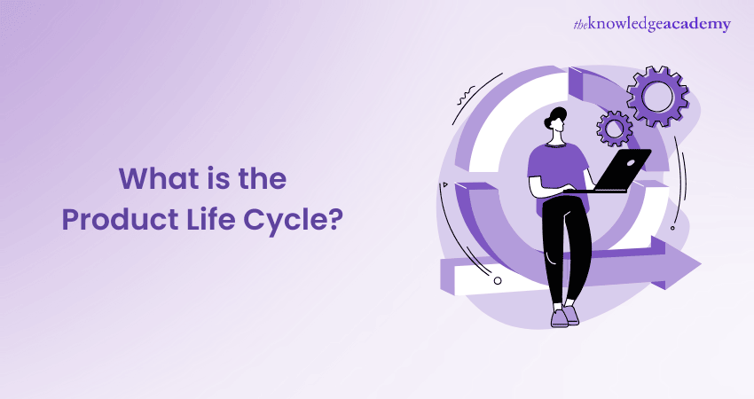 Image showing the title What is the Product Life Cycle?