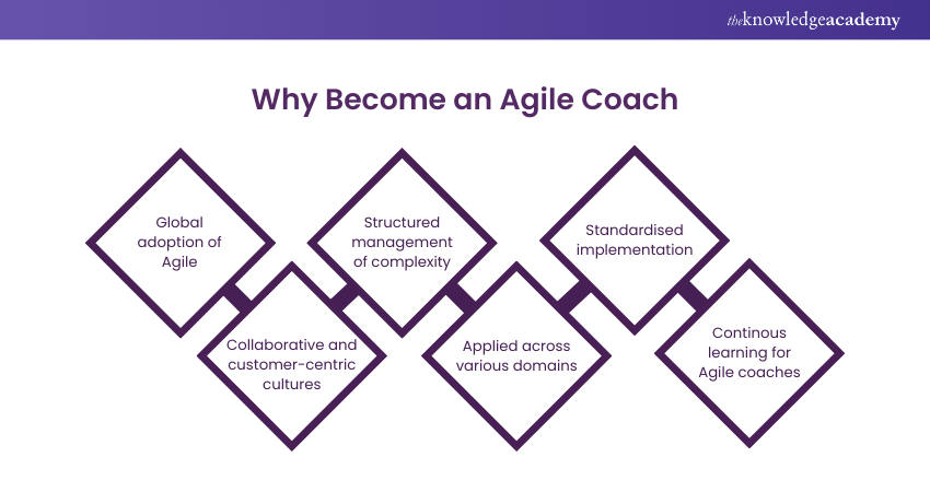 Prospects of an Agile Coach