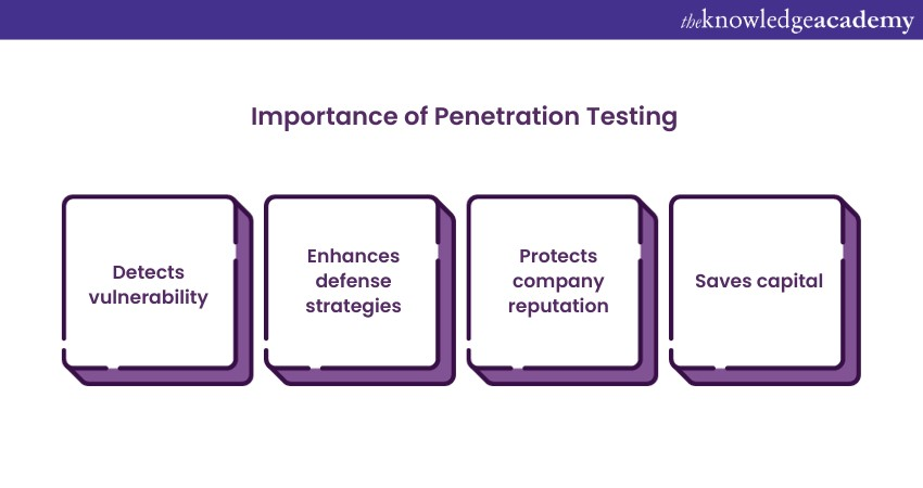 importance of Penetration Testing 