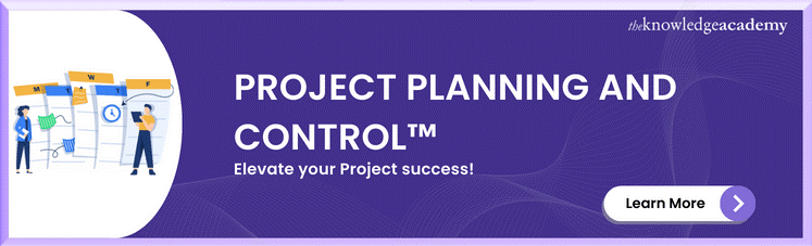 Project Planning and Control™ 