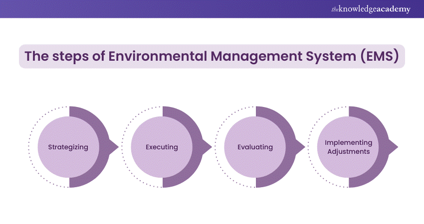 steps in writing an Environmental Management System