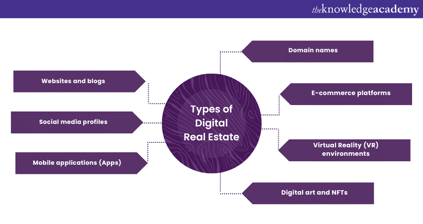 types of Digital Real Estate