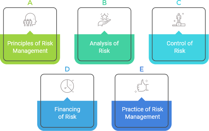 certified risk manager crm